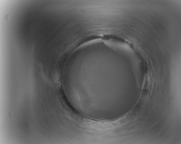 X0000070390031200606161421