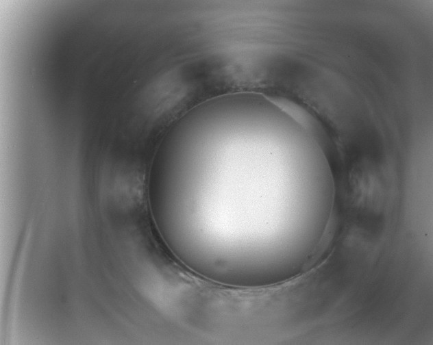 X0000070390033200606161421