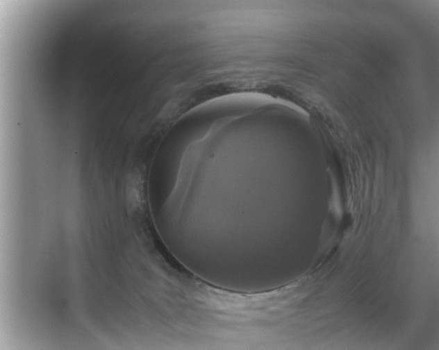 X0000070390035200606161421