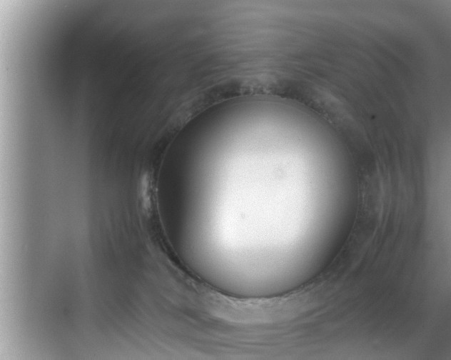 X0000070390038200606161421