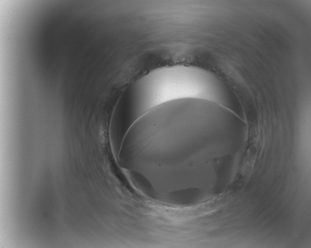 X0000070390039200606161421