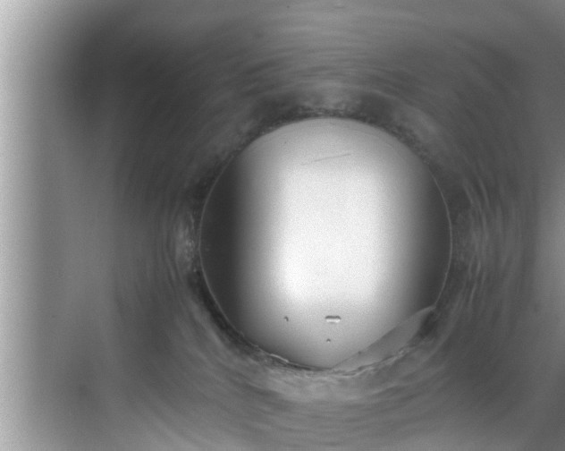 X0000070390040200606161421