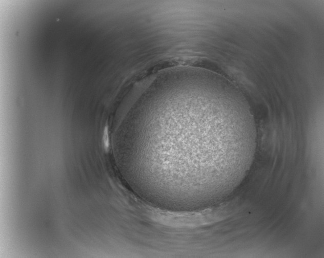 X0000070390042200606161421