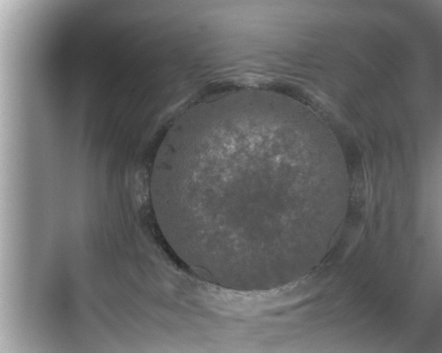 X0000070390043200606161421