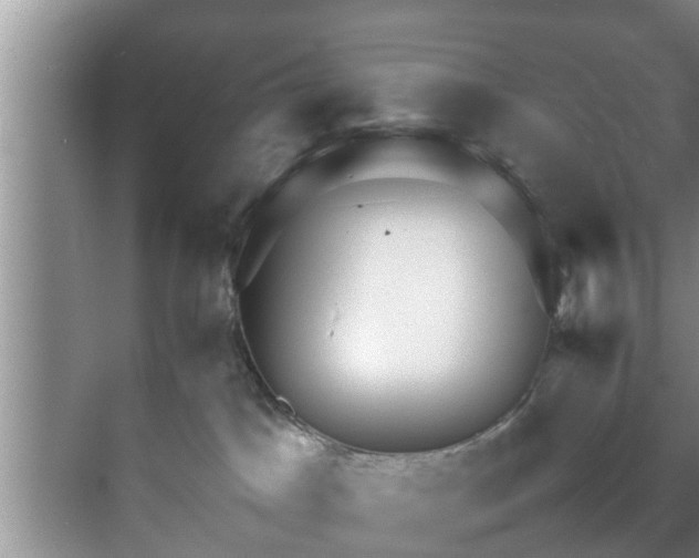 X0000070390045200606161421