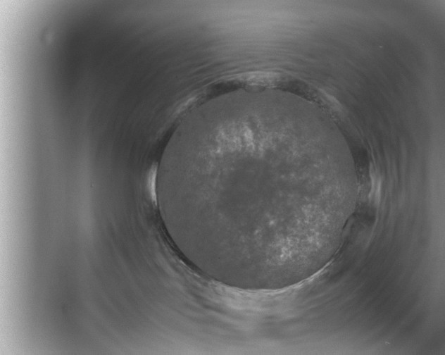 X0000070390047200606161421