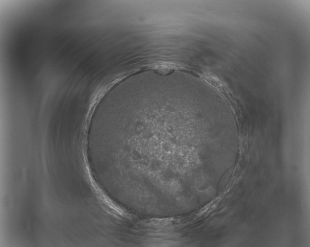 X0000070390049200606161420