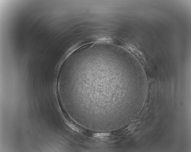 X0000070390051200606161420