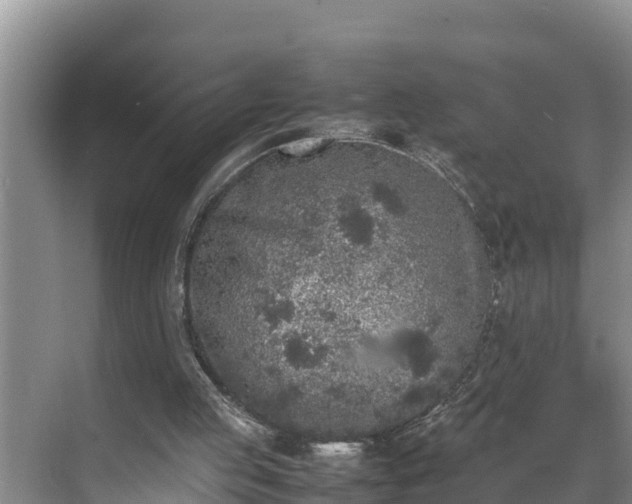 X0000070390053200606161420