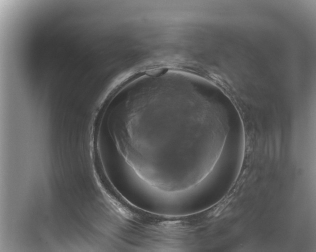 X0000070390054200606161420