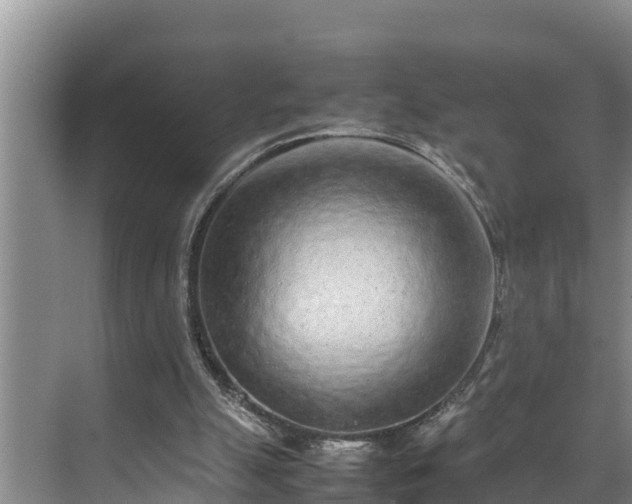 X0000070390055200606161420