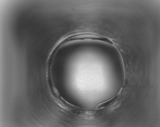 X0000070390056200606161420