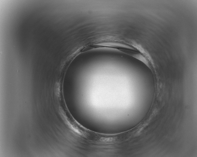 X0000070390057200606161420