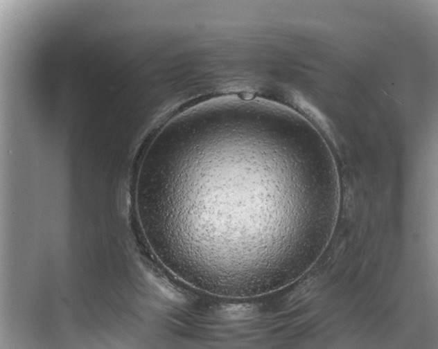 X0000070390059200606161421