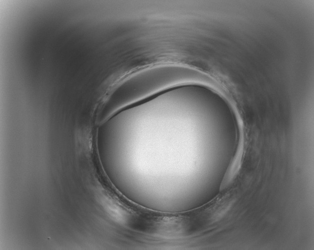 X0000070390060200606161421