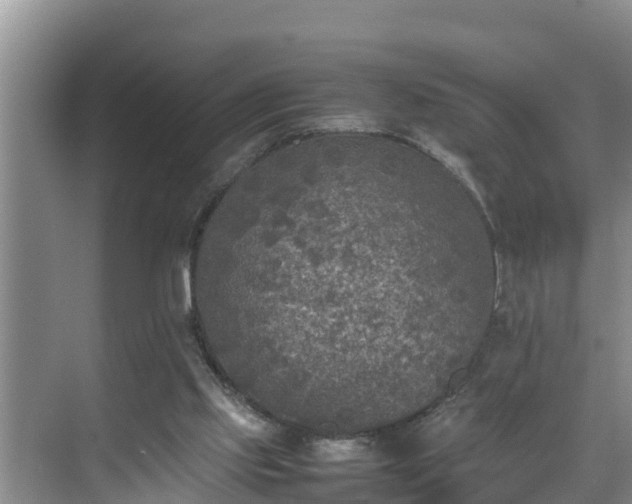 X0000070390061200606161421