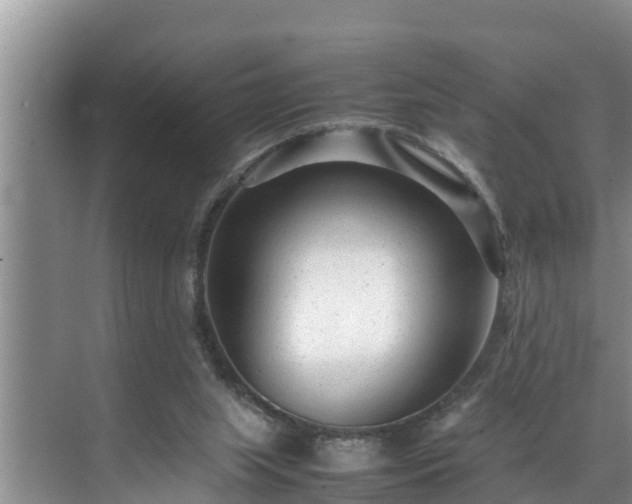 X0000070390063200606161421