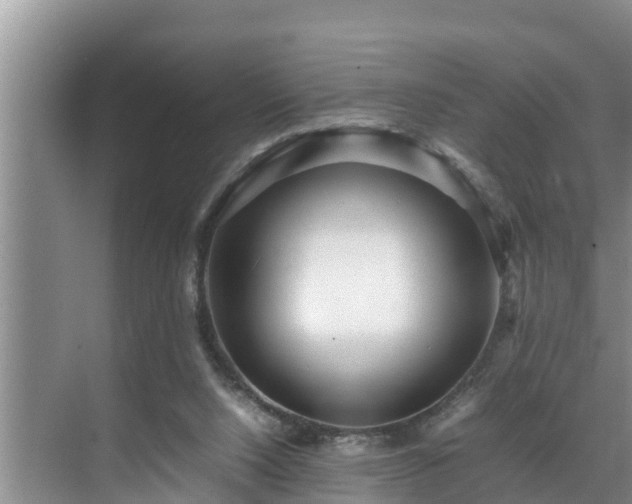 X0000070390064200606161421