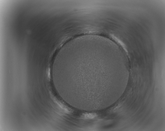 X0000070390067200606161421