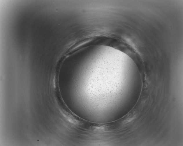 X0000070390068200606161421