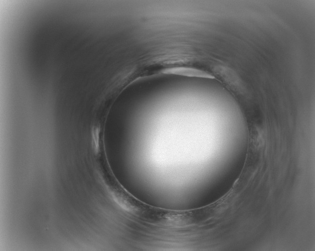 X0000070390070200606161421