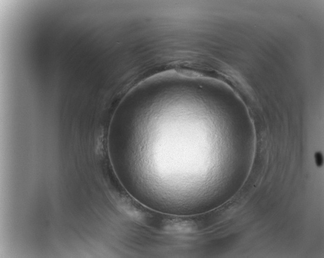 X0000070390073200606161421