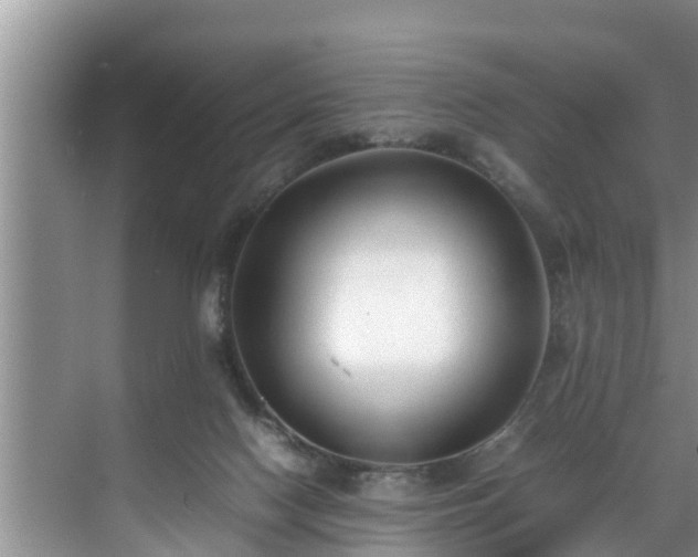 X0000070390074200606161421