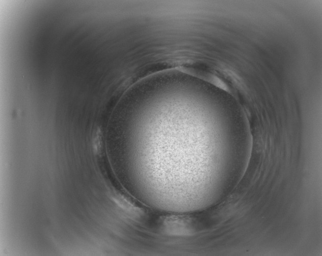 X0000070390077200606161421