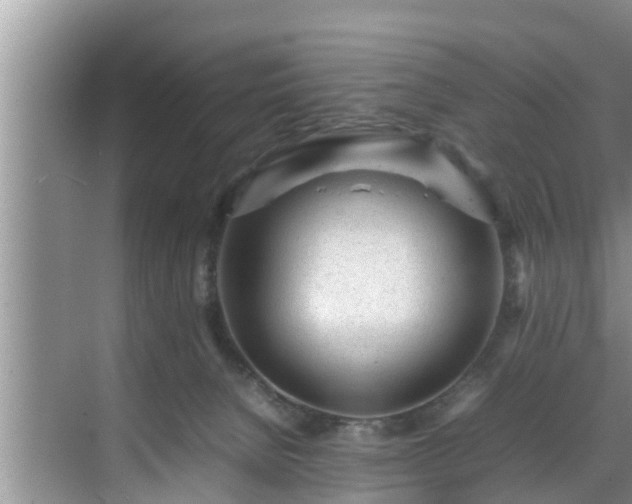 X0000070390080200606161421