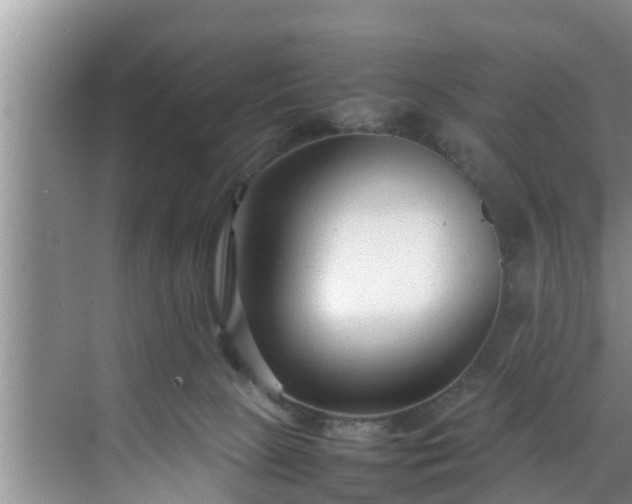 X0000070390081200606161421