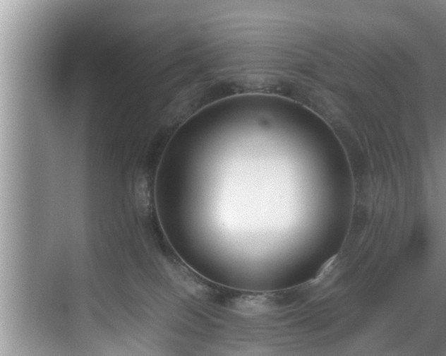 X0000070390086200606161421