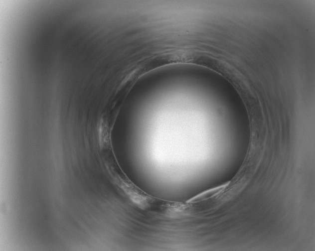 X0000070390096200606161421