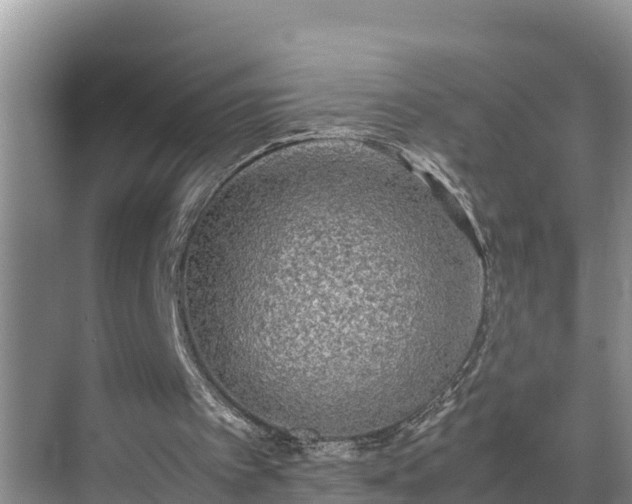 X0000070390097200606161420