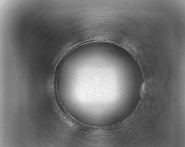 X0000070390098200606161420