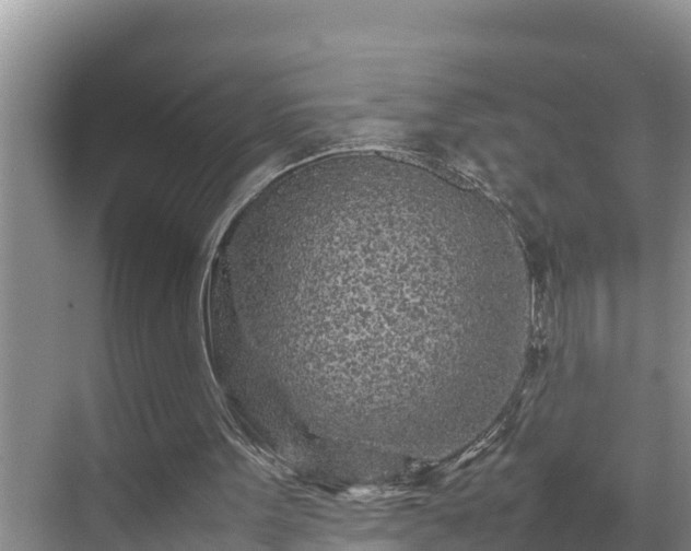 X0000070390099200606161420