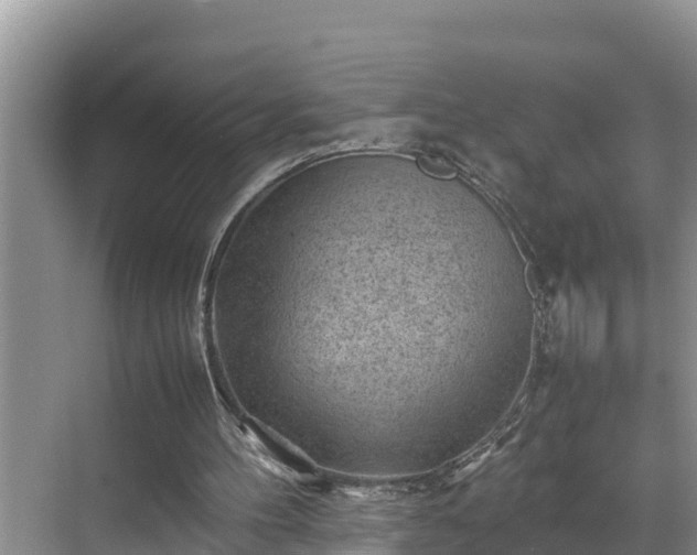 X0000070390100200606161420