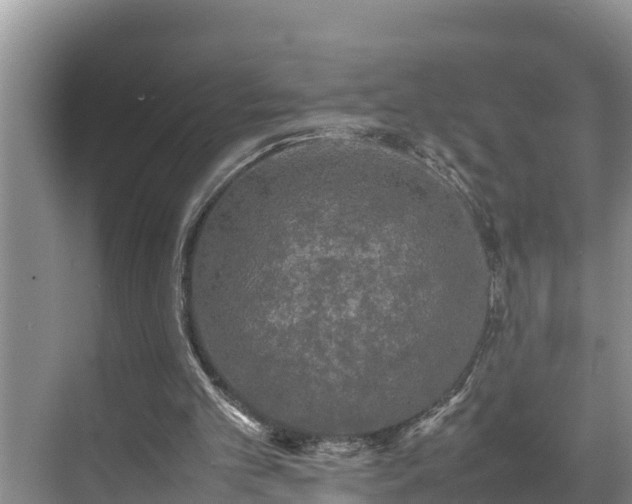 X0000070390101200606161420