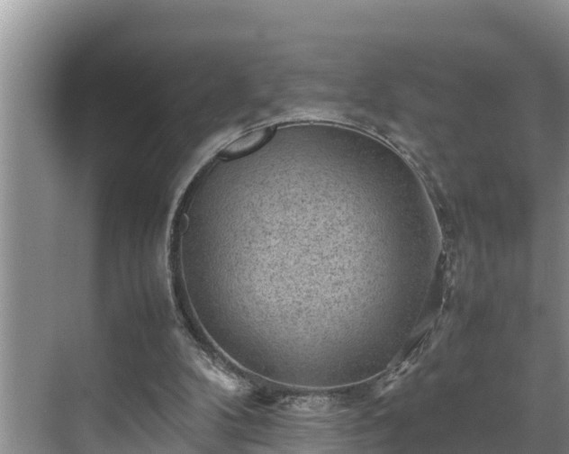 X0000070390104200606161420