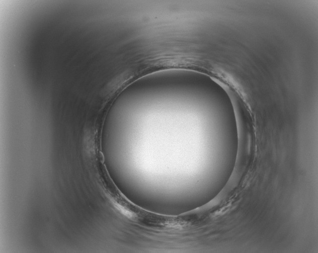 X0000070390105200606161420