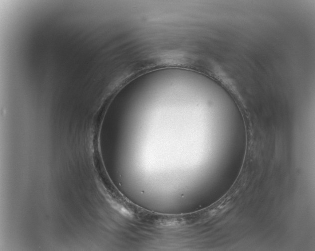 X0000070390106200606161420