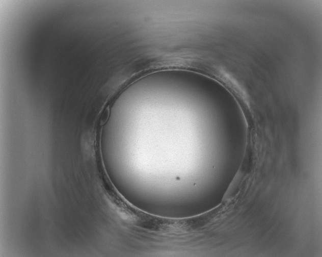 X0000070390107200606161420