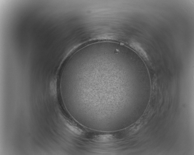 X0000070390108200606161420