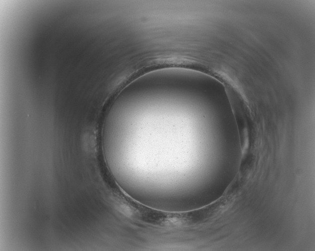 X0000070390111200606161420