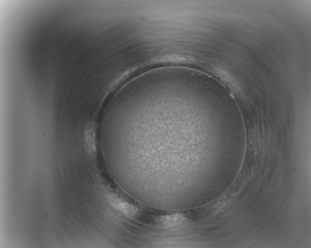 X0000070390112200606161420