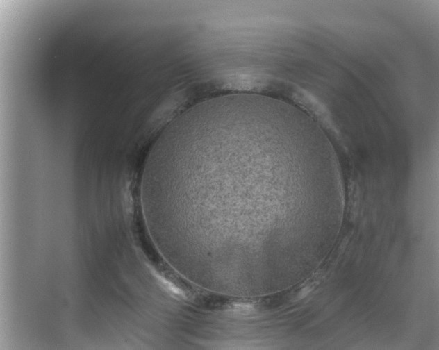 X0000070390114200606161420