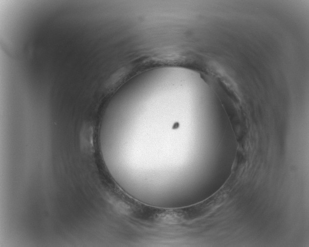 X0000070390115200606161420