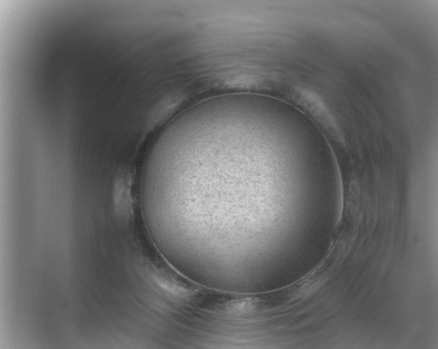 X0000070390116200606161420