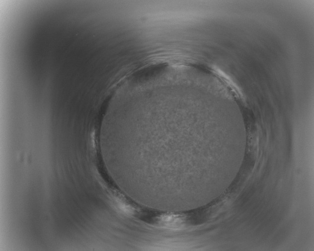 X0000070390117200606161420