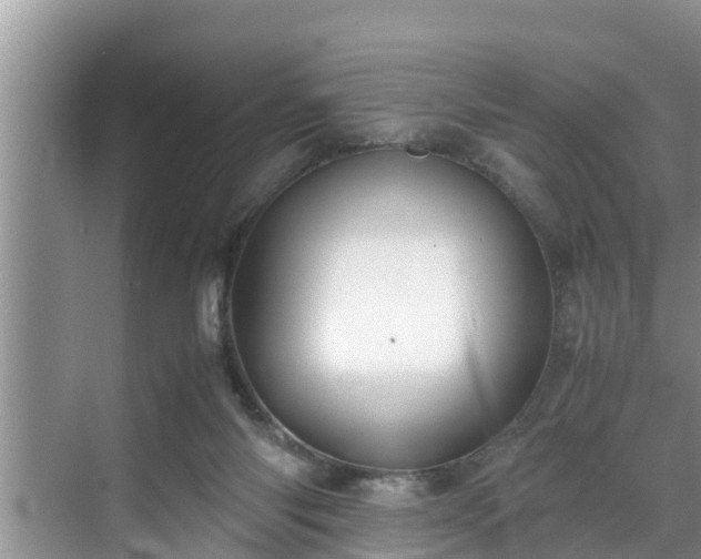 X0000070390118200606161420