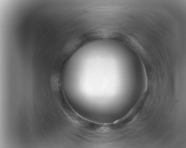 X0000070390119200606161420